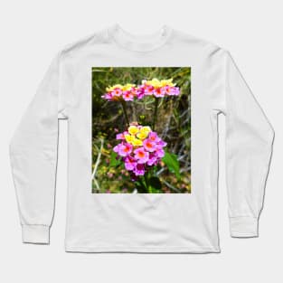 Phoenix Trio Long Sleeve T-Shirt